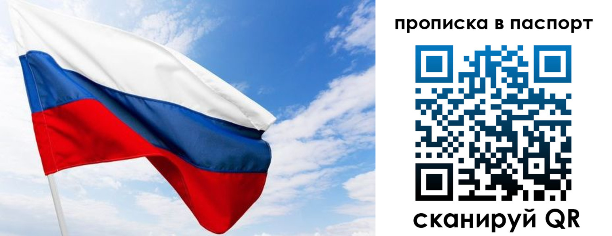 прописка поиск в Ярославле